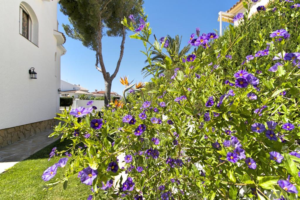 Arenda Pino Alto Villa Gallo Miami Playa Стая снимка
